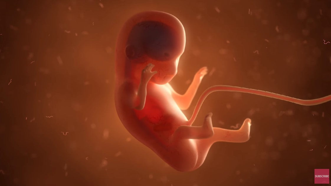 12 Weeks Pregnant